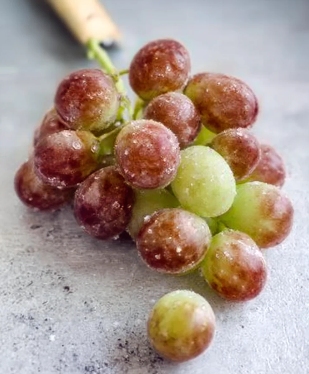 Cbeef hampagne Beef and Grapes-Elegant Flavor