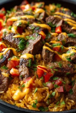 Steak Queso Rice : A Flavorful Recipe